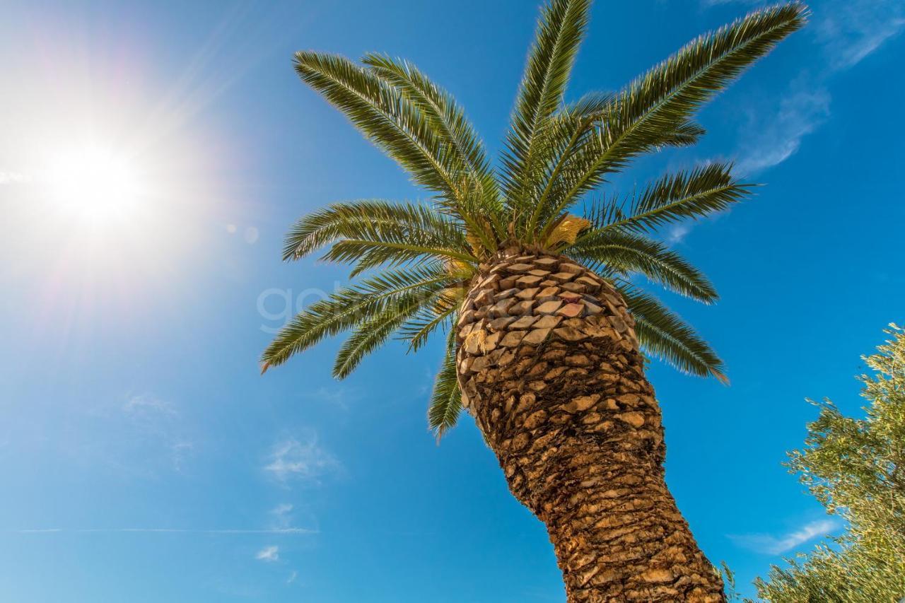 Near The Beach Apartments Jagodia بريلا المظهر الخارجي الصورة